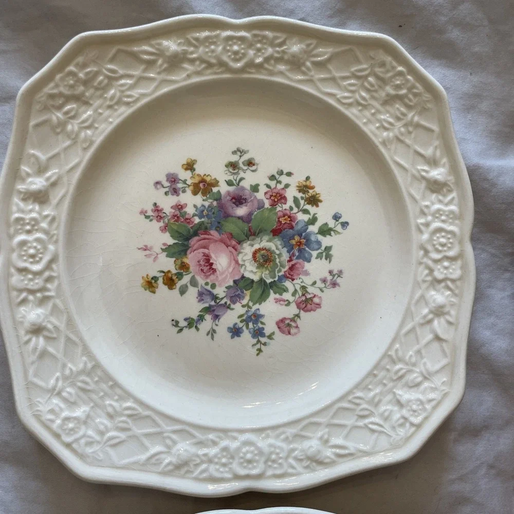 5 Briar Rose by‎ Salem SLM46 Embossed Rim Floral Motif Ivory 6